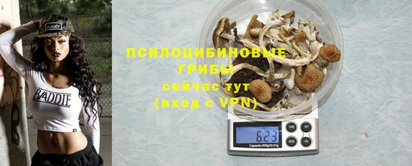 ПСИЛОЦИБИНОВЫЕ ГРИБЫ Армянск
