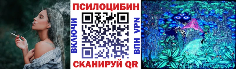 Псилоцибиновые грибы Psilocybe  купить закладку  Аткарск 