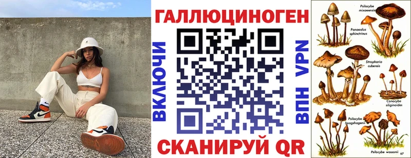 Псилоцибиновые грибы Psilocybe Аткарск